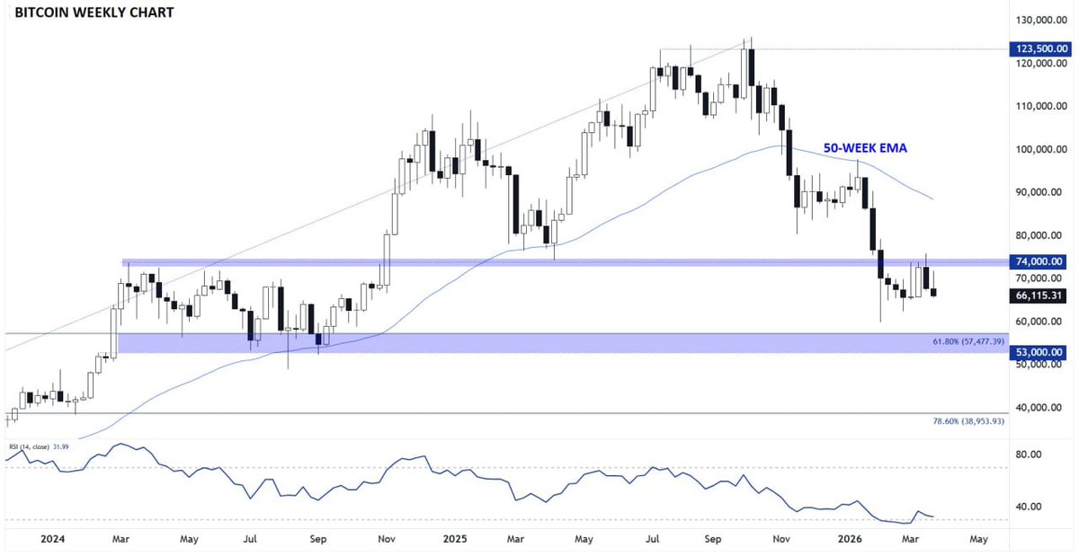 Diego Cortez tweet media