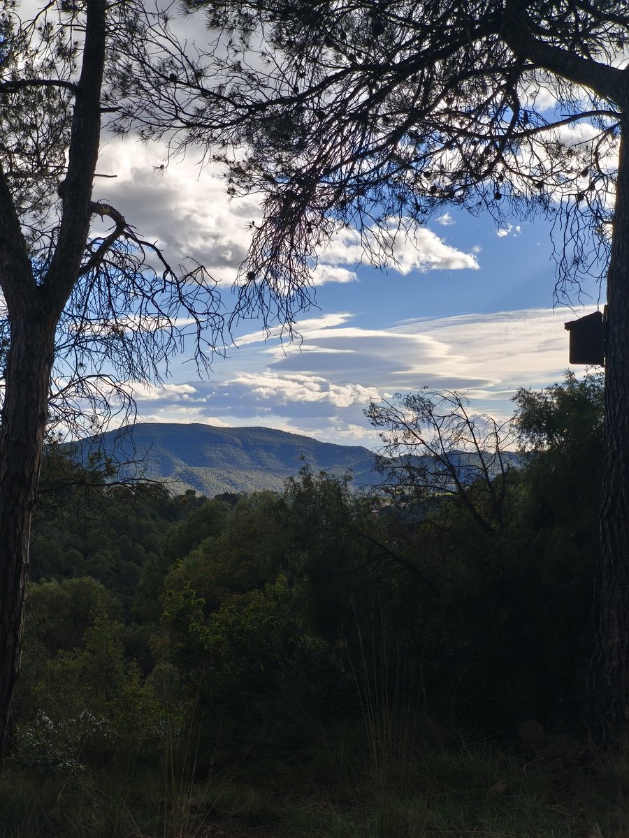 María Sender 🐺🇮🇪🔻💜 🌈 🍉 tweet media