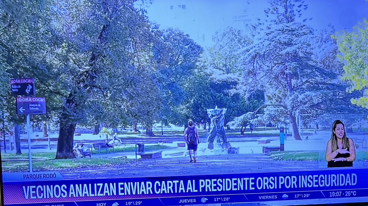 EL BICHO😎 tweet media