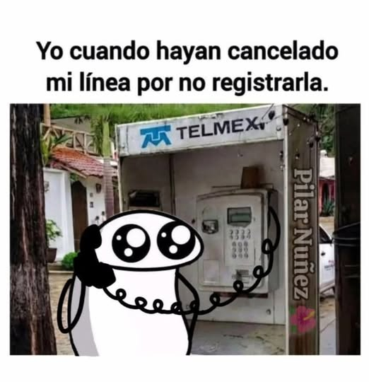 DRA. MERCEDES PAVON "SUPERMUELITA FIFÍ" tweet media