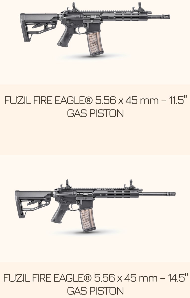 2S7 Pion tweet media