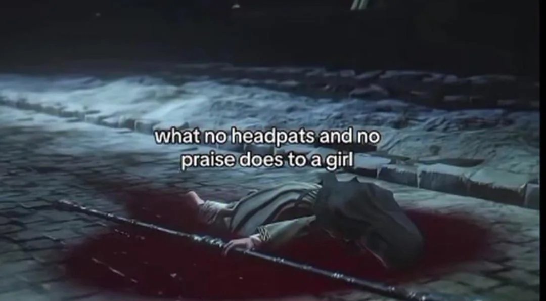 Gay Frog 🏳️‍⚧️ tweet media