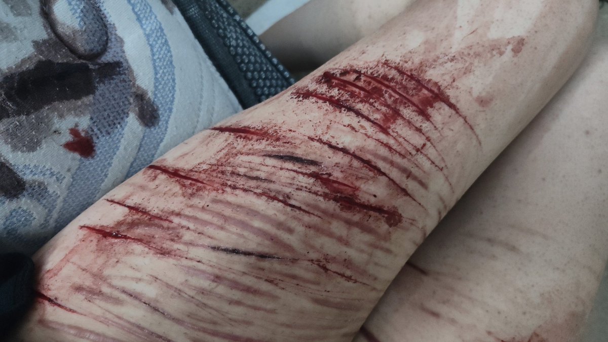 terribleDays_1 tweet media