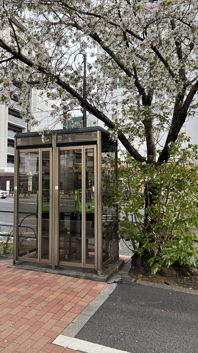 津雲 tweet media