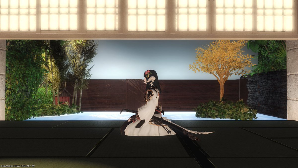 Gin❖kujata tweet media