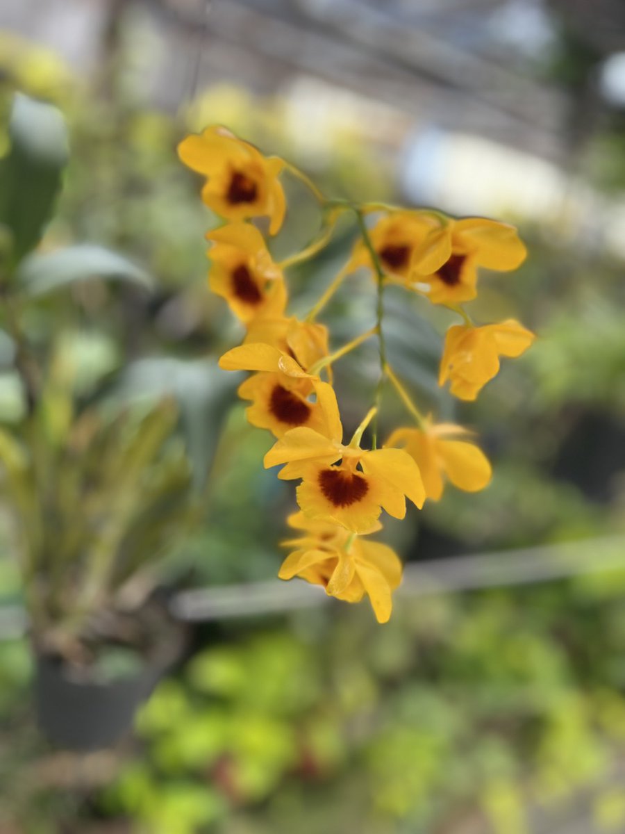 青旻居士 tweet media