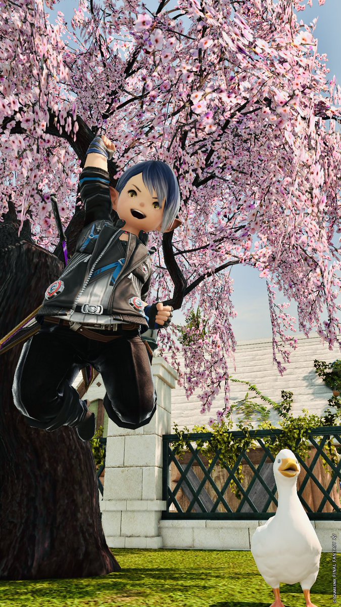 Ain-Soph(ｱｲﾝ ｿﾌ)(ｴｵﾊﾞﾄﾗｰ) tweet media