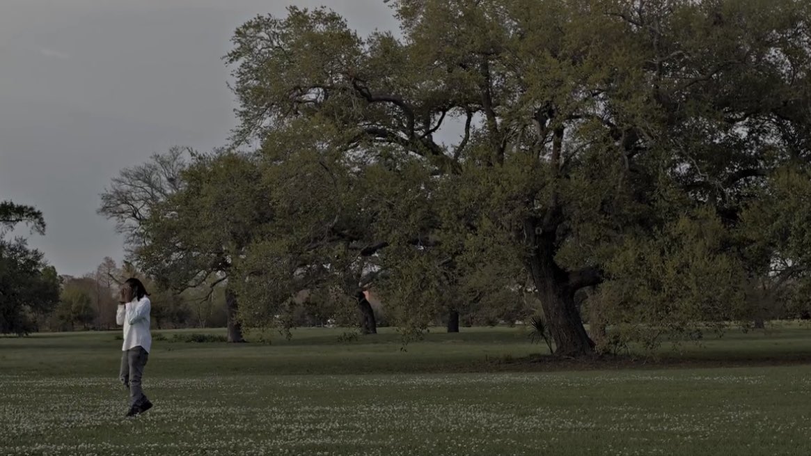 lesgokev tweet media