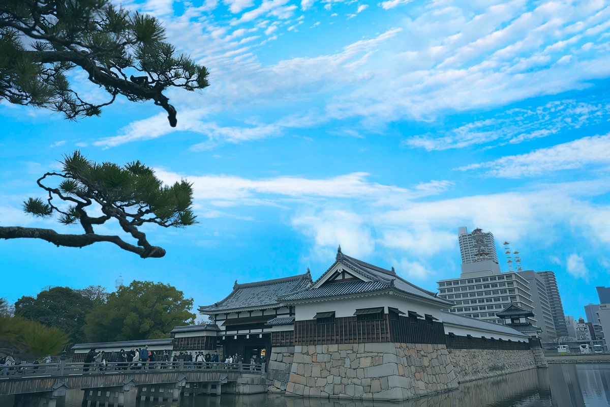 遠ちゃん@ カメラ日記 tweet media