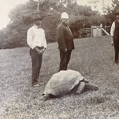 Culture Crave 🍿 tweet media