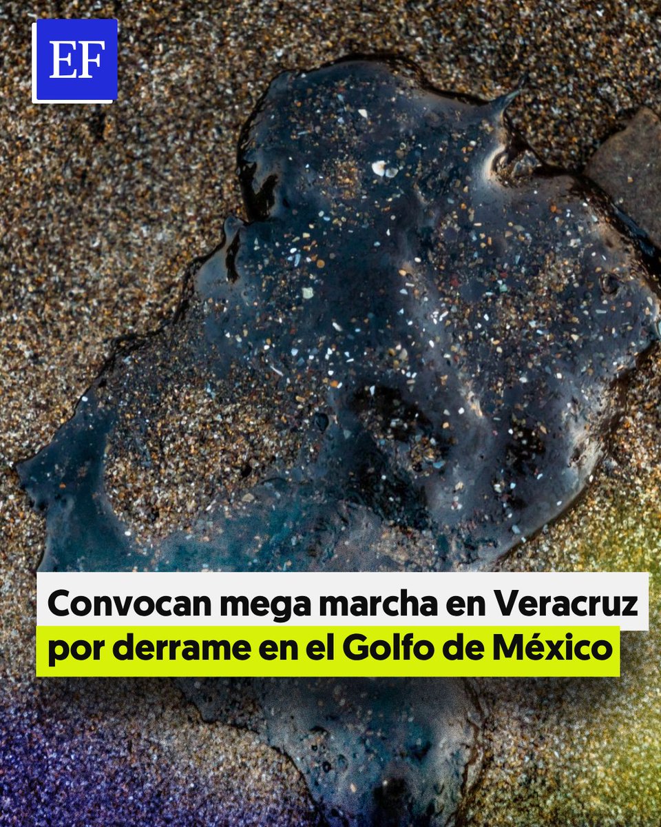 El Financiero tweet media