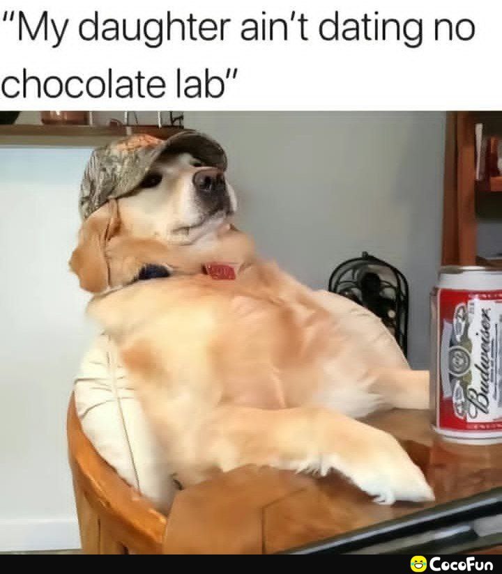 Original Spike1962 tweet media