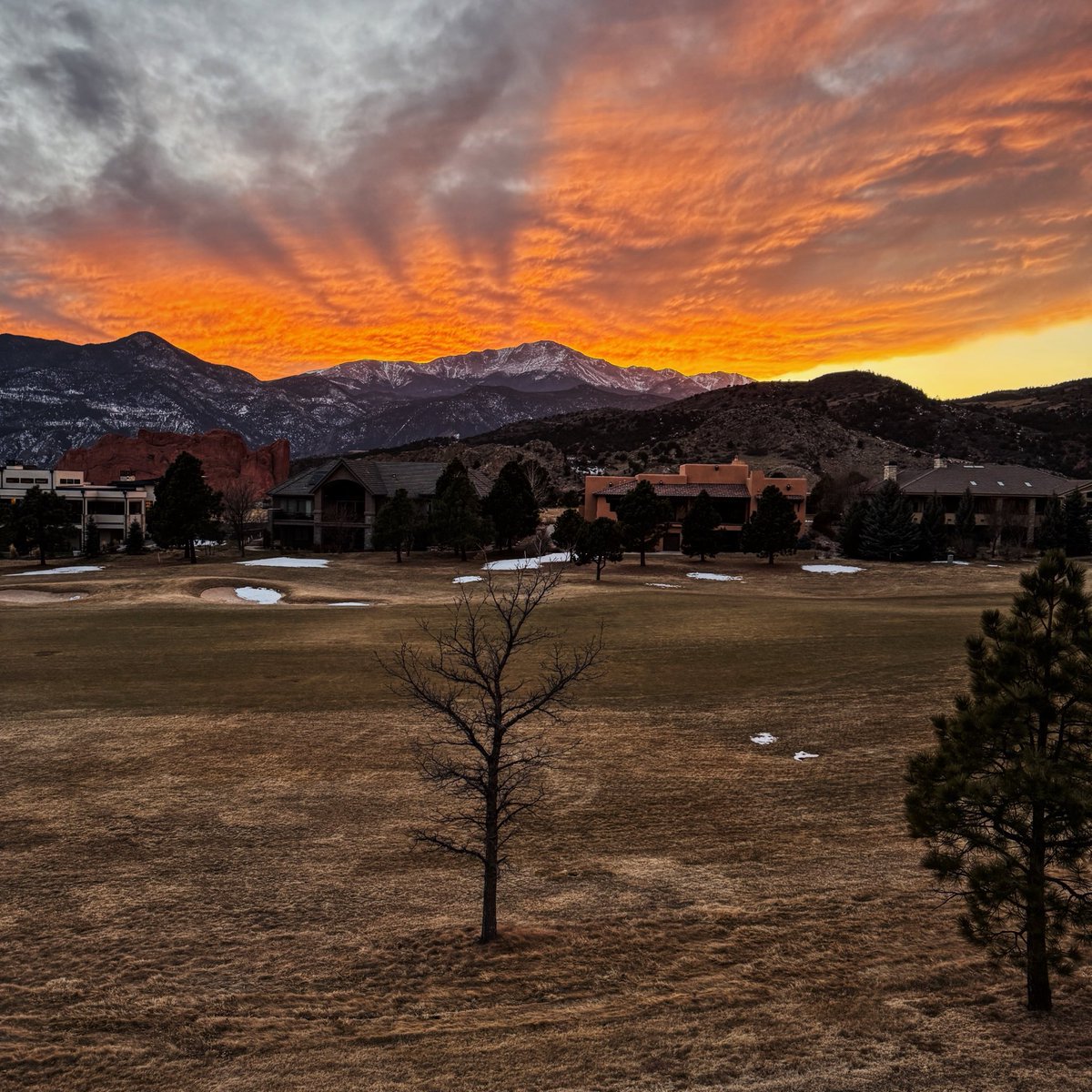 Lynn Kehler tweet media