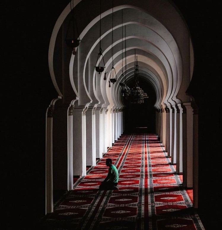 حسين ربيع اليامي tweet media