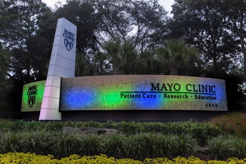 Mayo Clinic Transplant tweet media