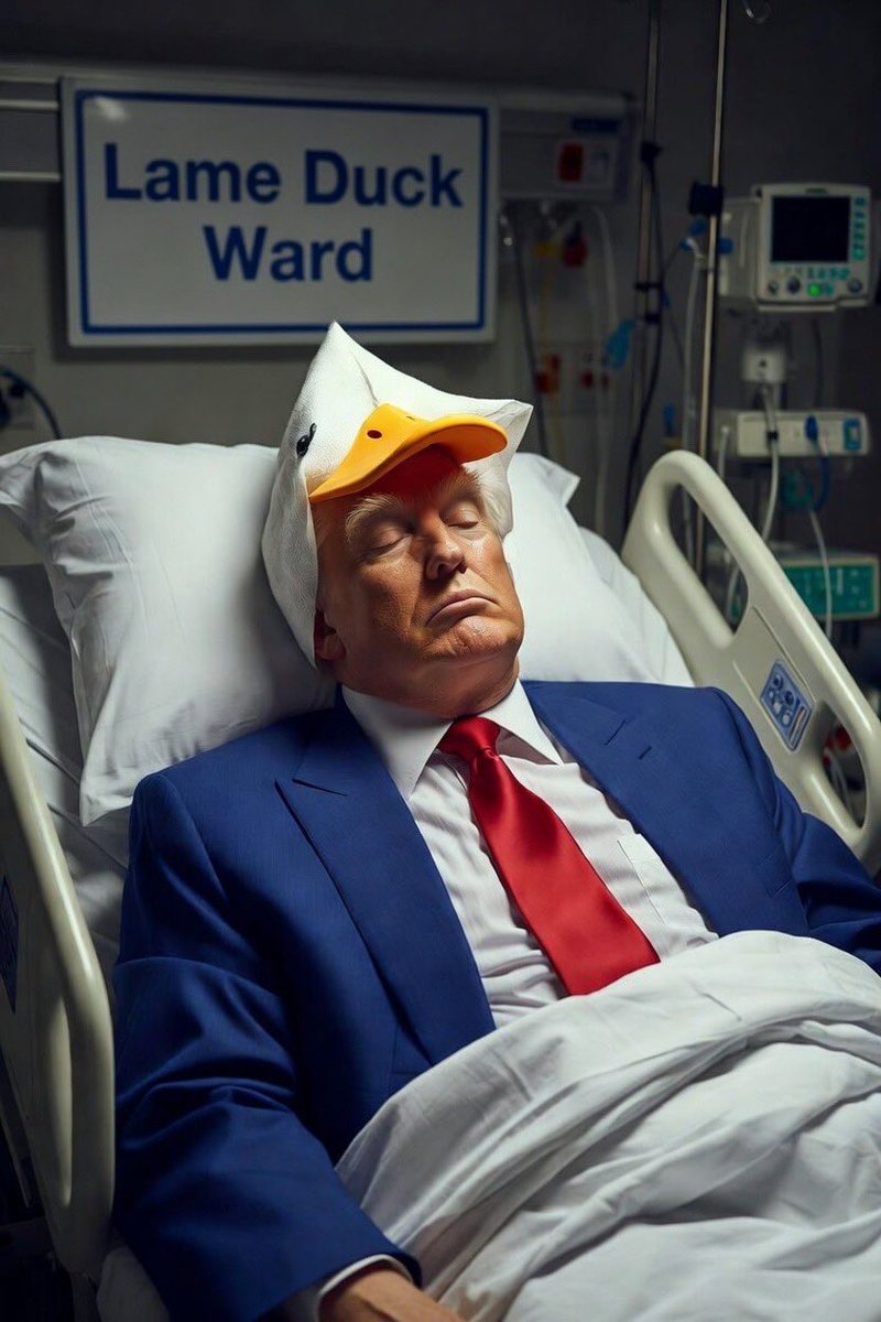 CjMfdt's tweet photo. @HQNewsNow The lamest duck. https://t.co/zPi1t1z19N