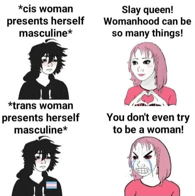 Gay Frog 🏳️‍⚧️ tweet media