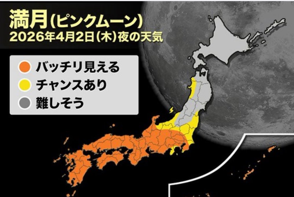 𓃠くぅ tweet media