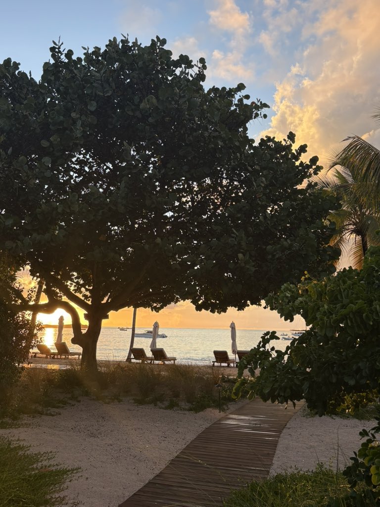 Taylor Mathis tweet media