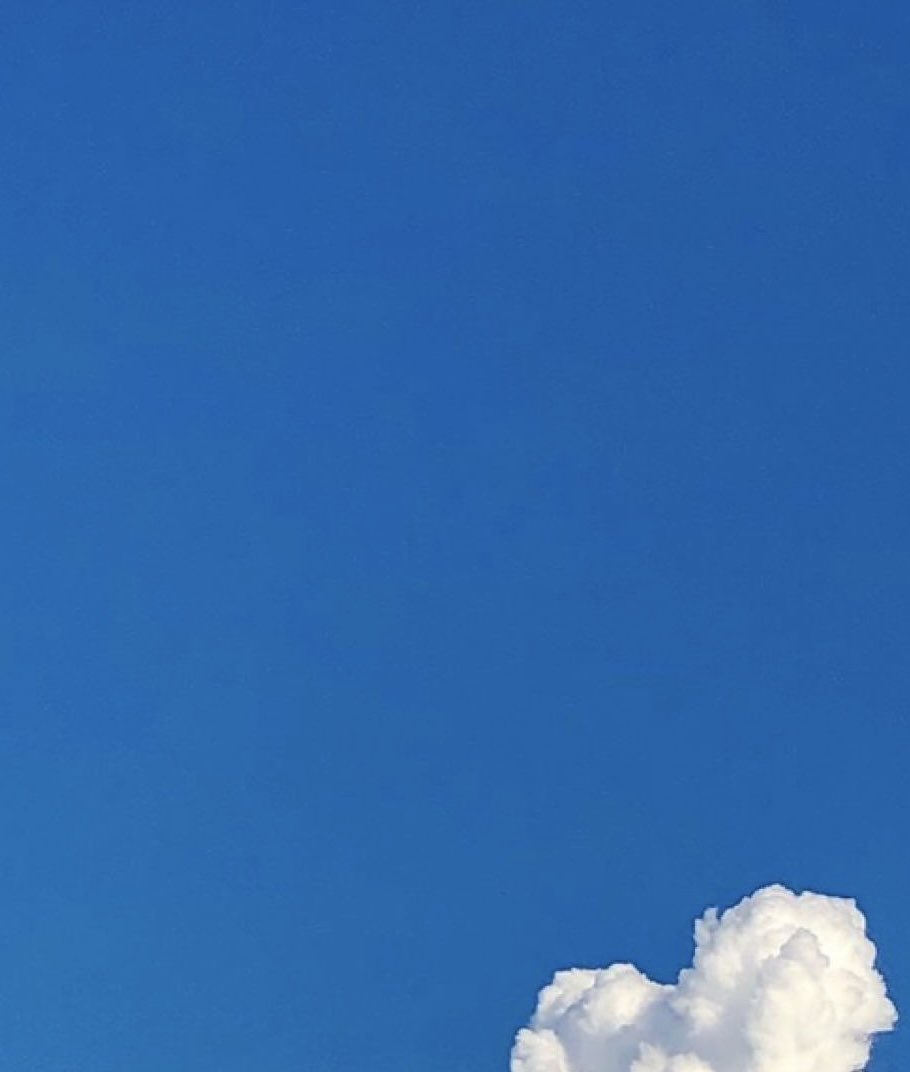 石原ロスカル tweet media