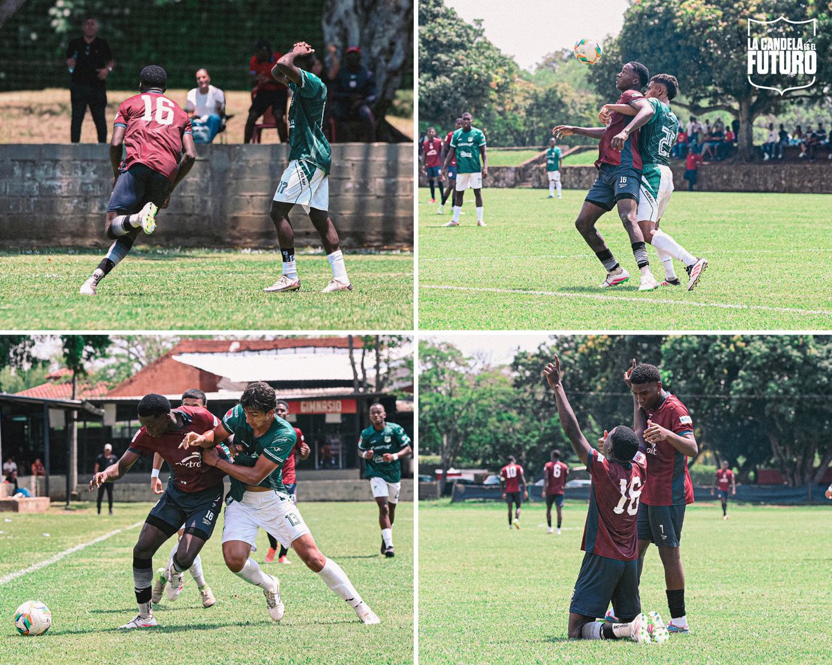 Categorías de Formación América de Cali tweet media