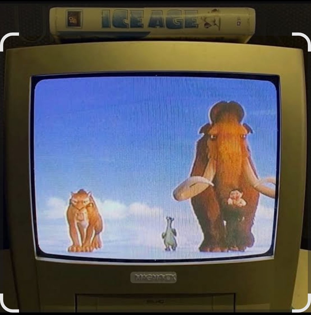 🇩🇿 tweet media