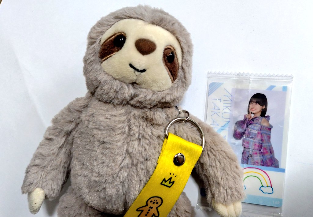 ナマケもん🦥〜みーぱんくらぶの一員〜🍞☀◢ tweet media