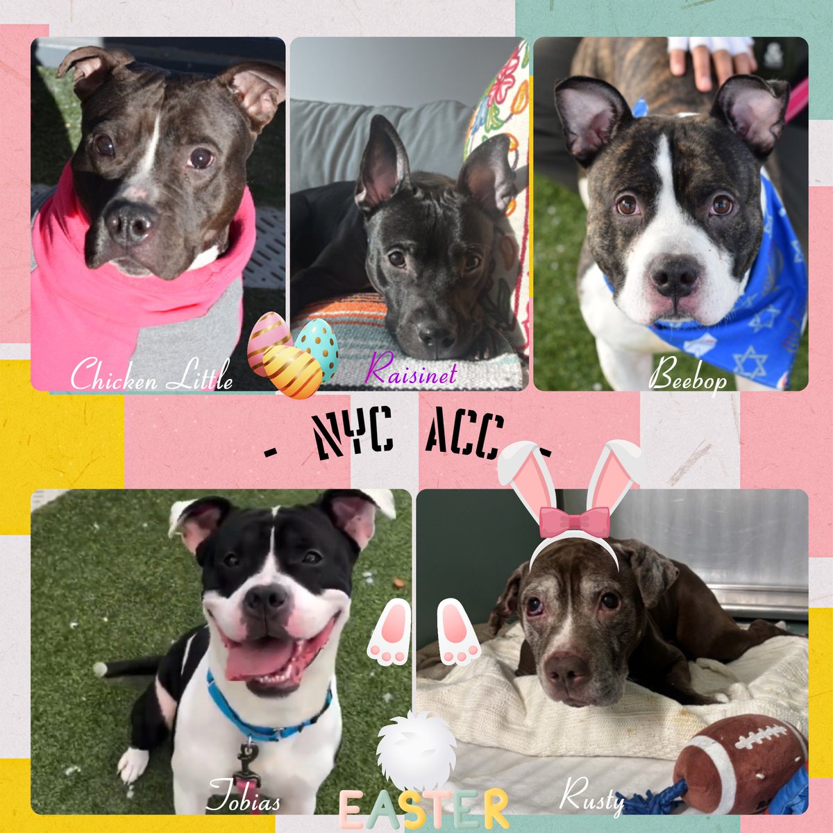 Not the Same tweet media