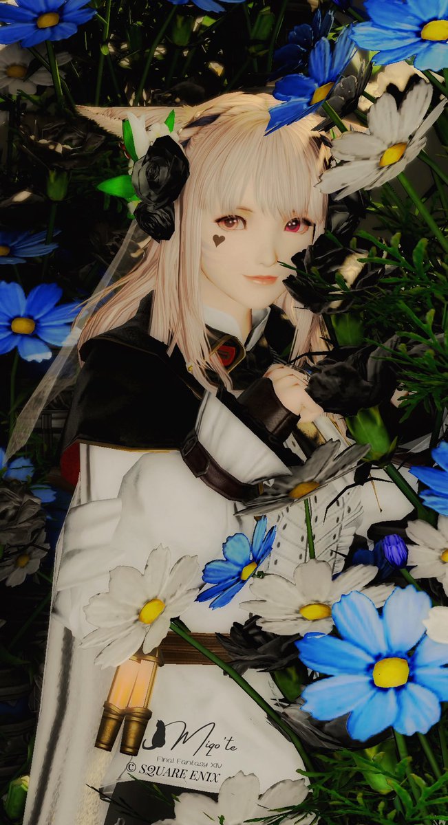 Chiko⟡.·*. 低浮上中 tweet media