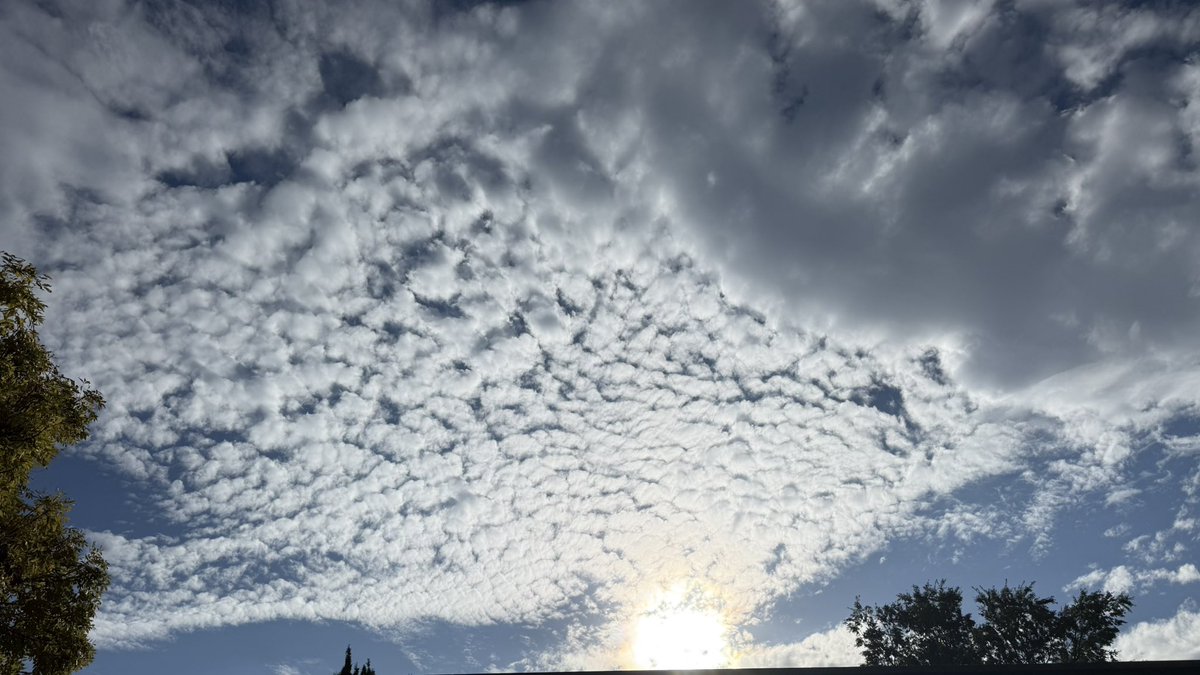 wapple15's tweet photo. Good morning #Canberra on this #VeryGoodThursday ππ€οΈ #SureHappyItsThursday https://t.co/wRQGRh40C1