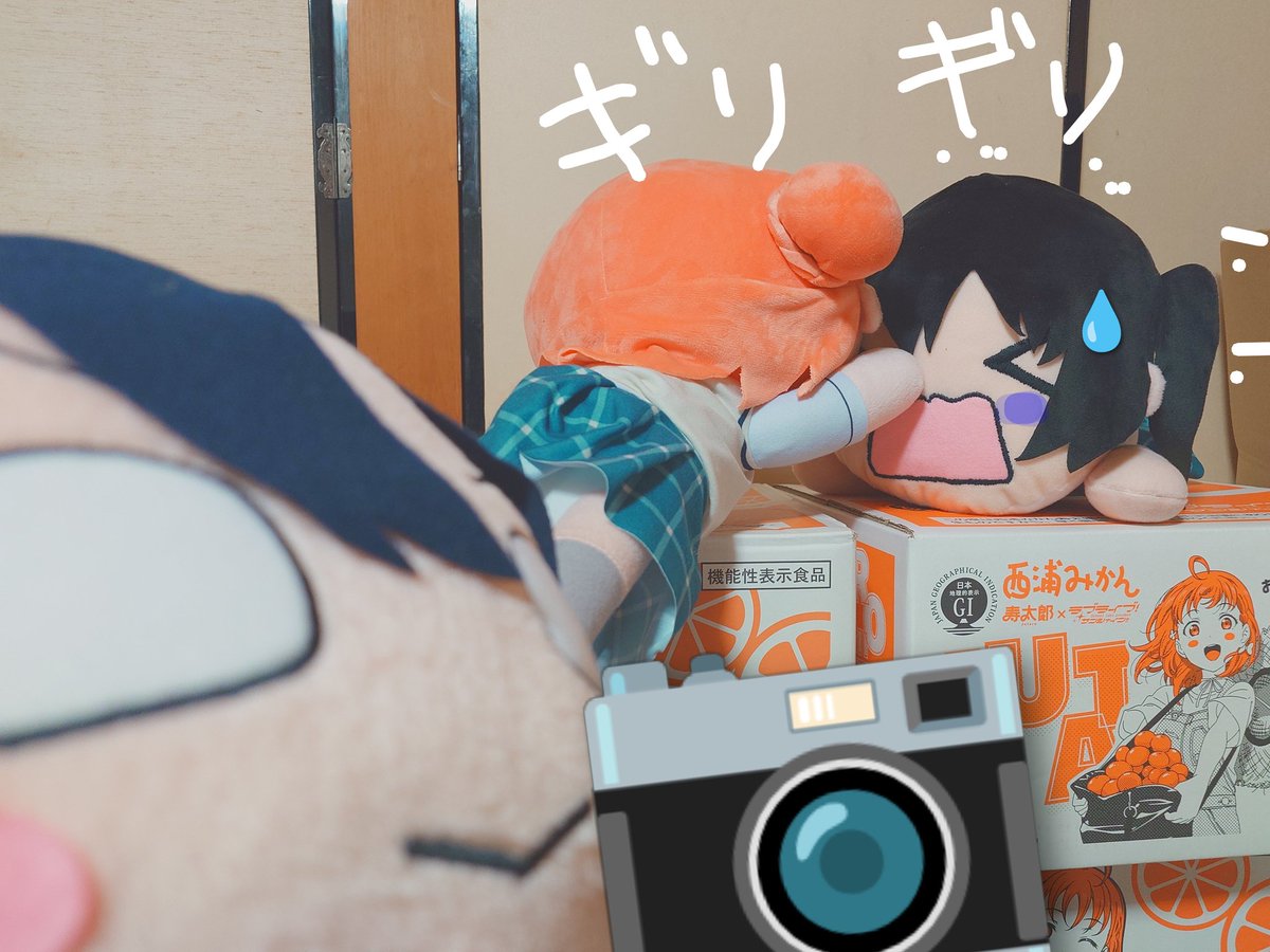 哀愁の寝そべらー@寝そべり割烹着隊長官 tweet media