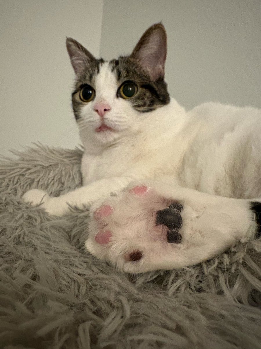 Revity After Dark 🔞 tweet media