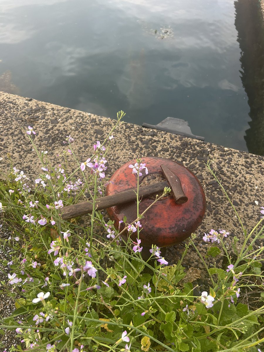 スン(釣りせんば)【離島生活】 tweet media