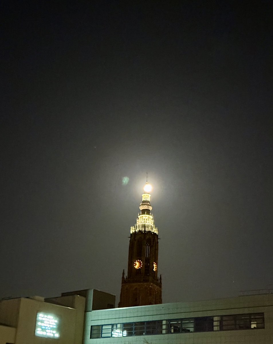 DatGaanWeDoen! ⚜️ tweet media