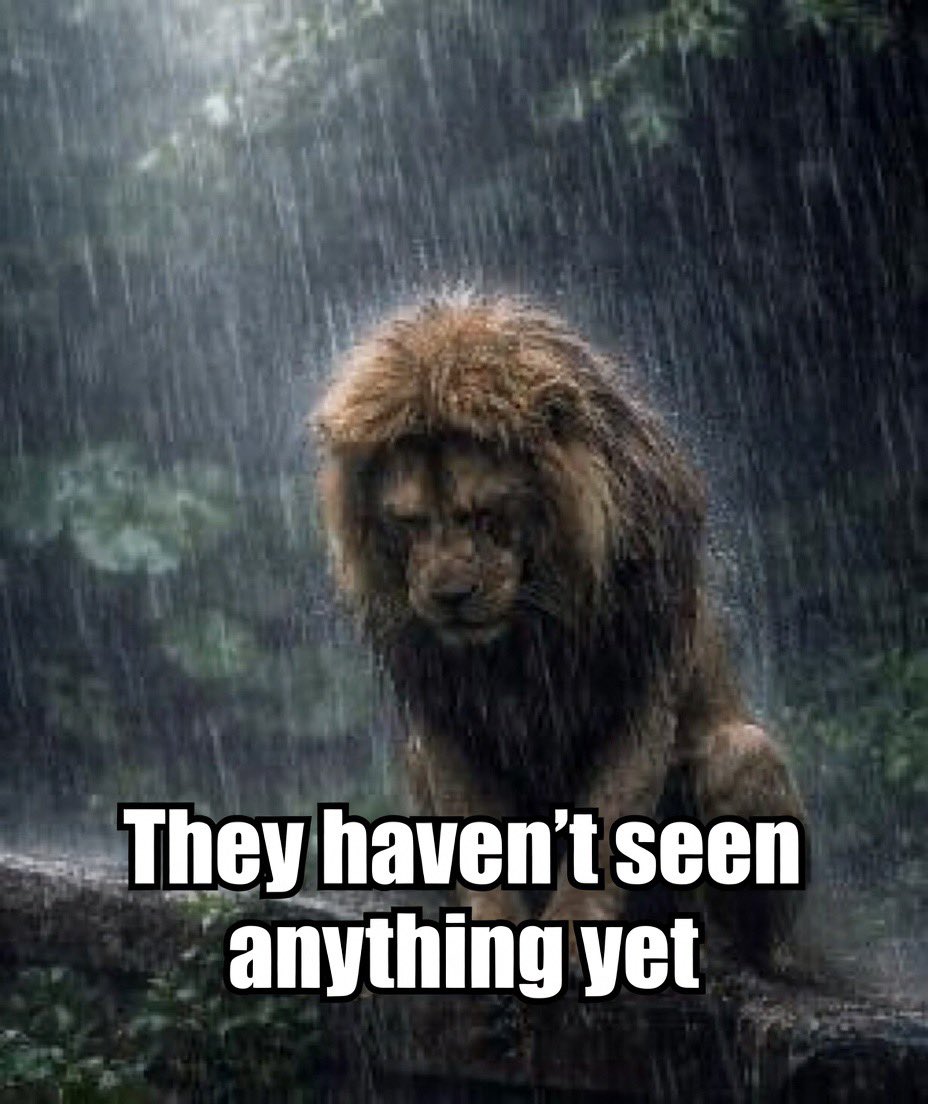 The great migration tweet media