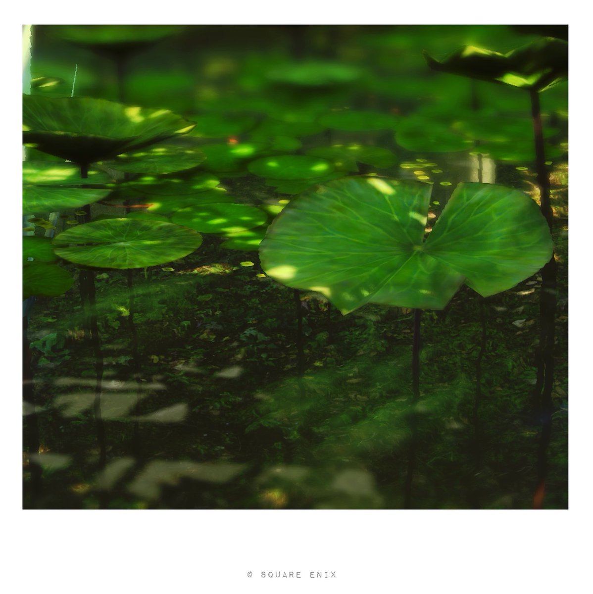 二日月 tweet media