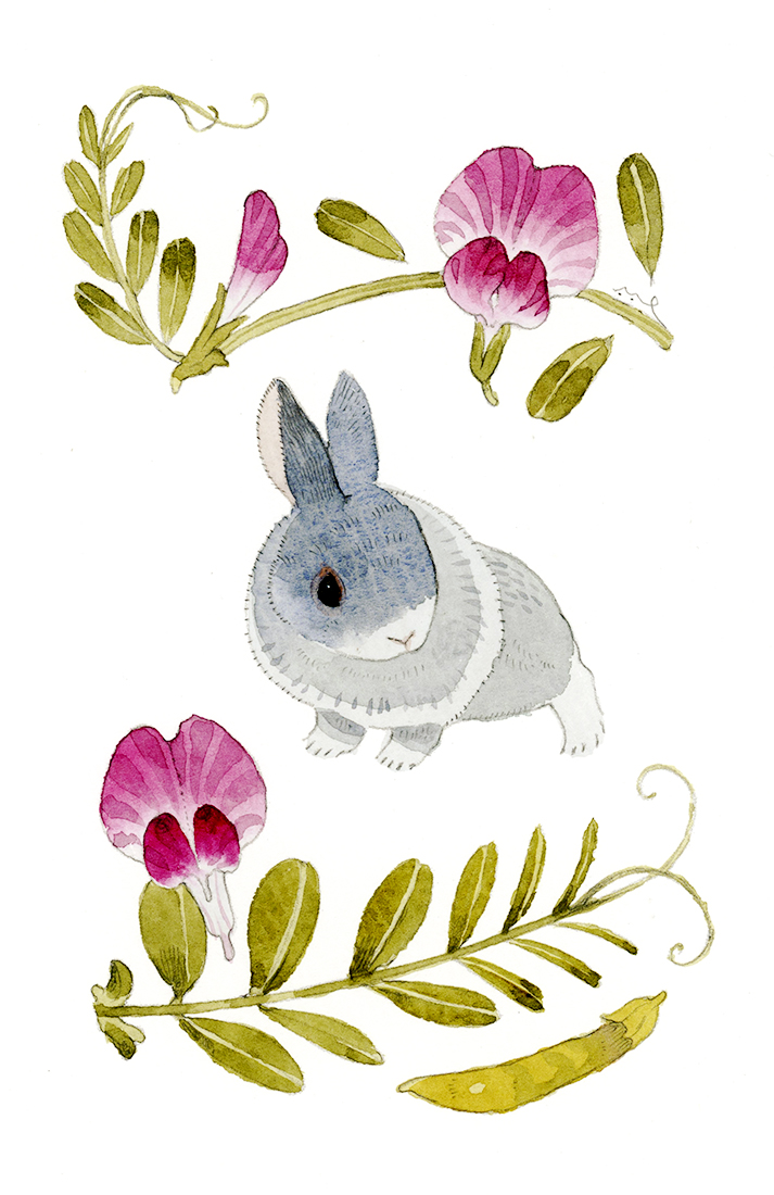 こまちみゆた tweet media