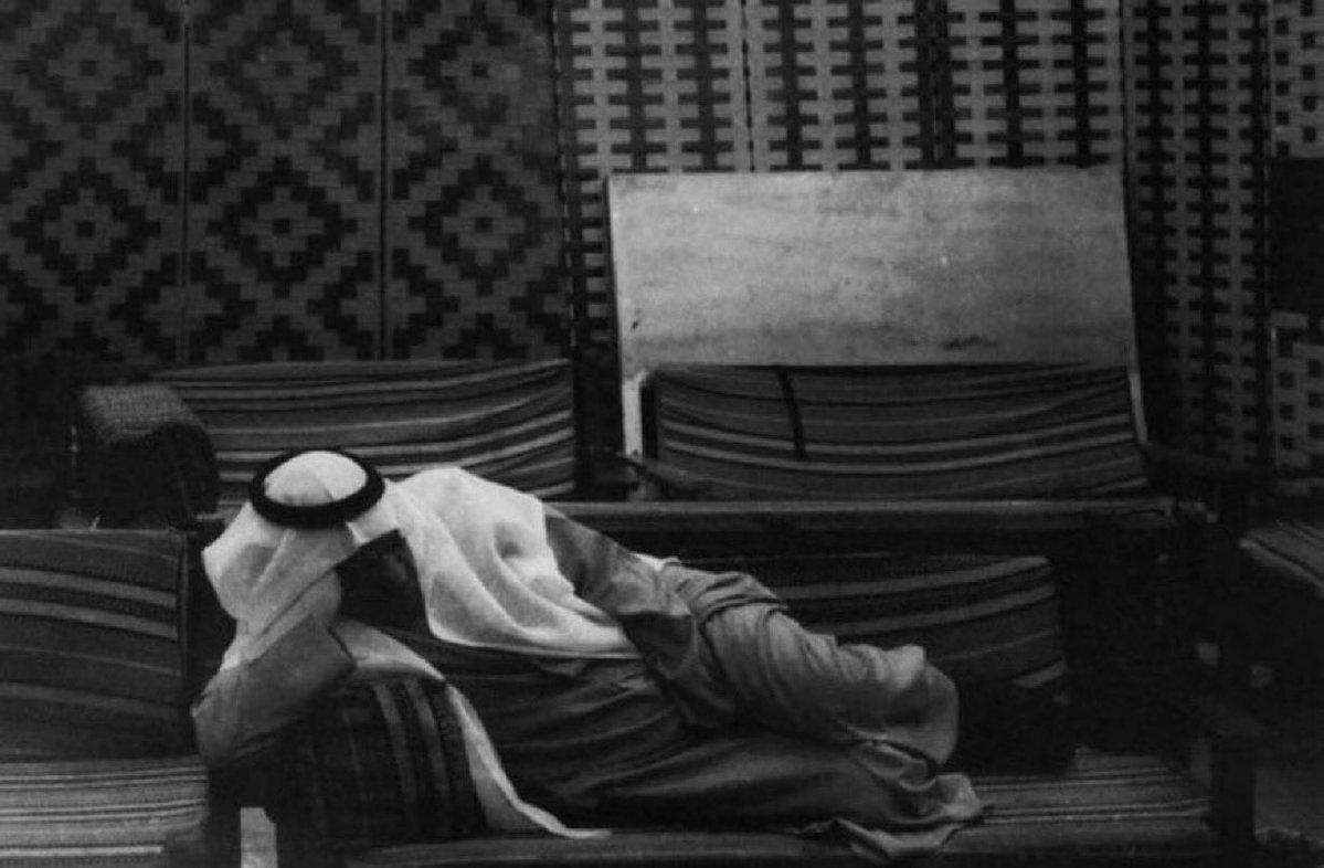 مـوطــن tweet media