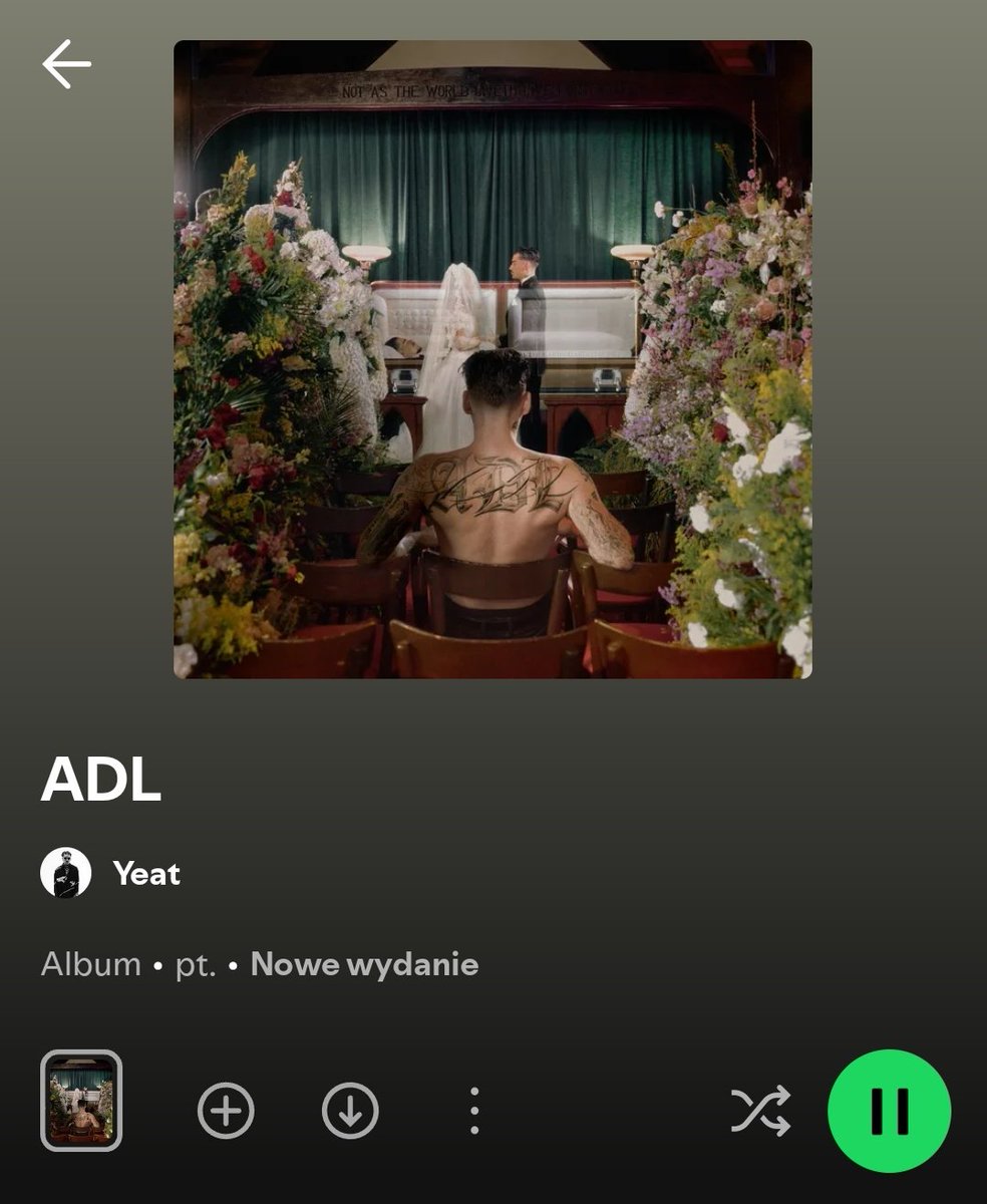 Dawid🕷 MISTRZ 34 tweet media