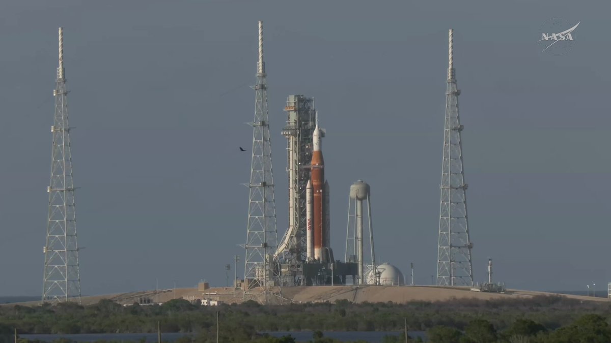 Кукуруза как у томакруза 🌽 tweet media