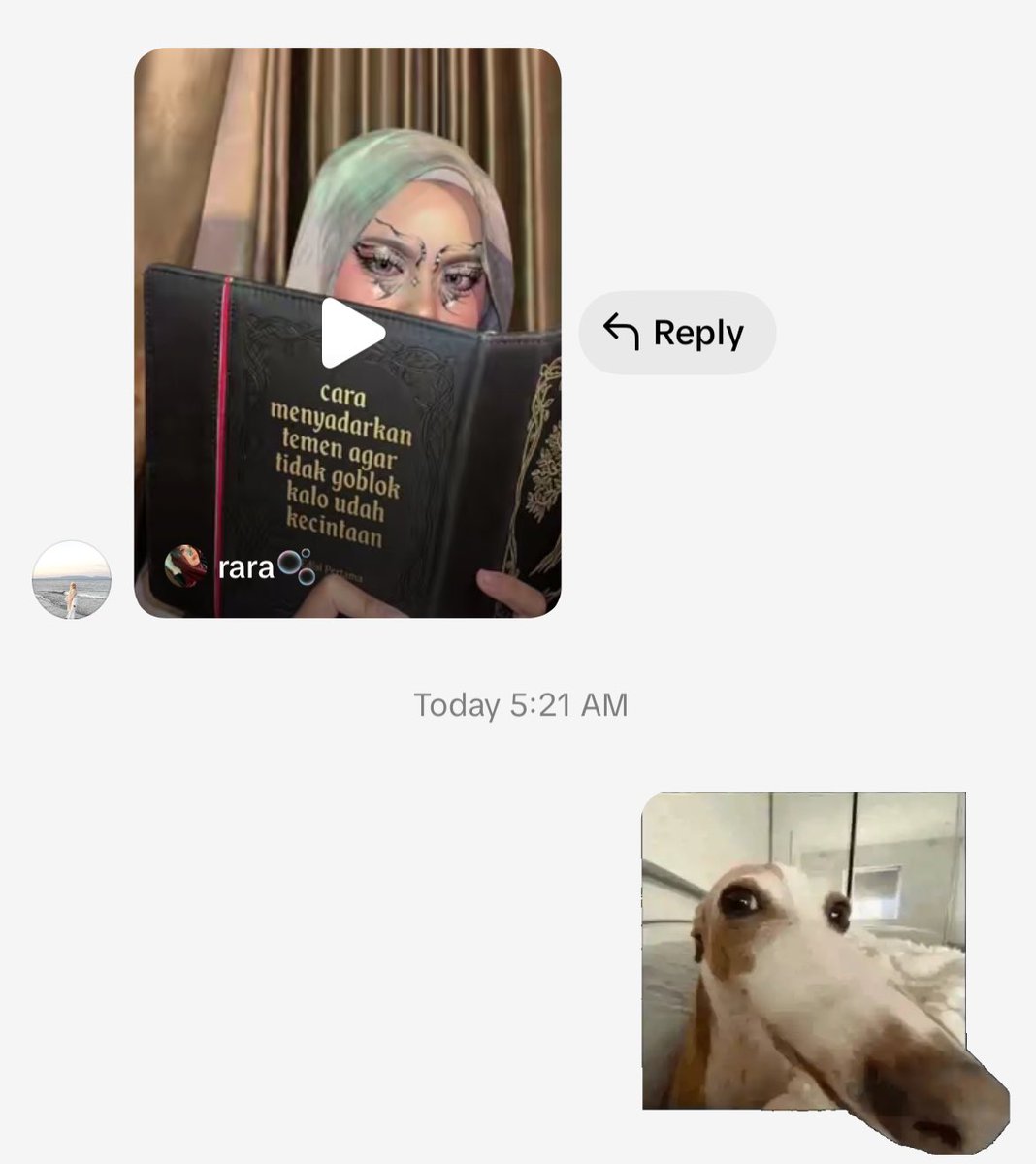 Fℹ️⭐️’s tweet media