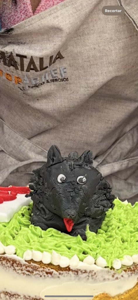 NataliaOficial_'s tweet photo. Parece un murciélago nuestro perro jajaja #TopChefRTVE https://t.co/ijJ7gsGDZh