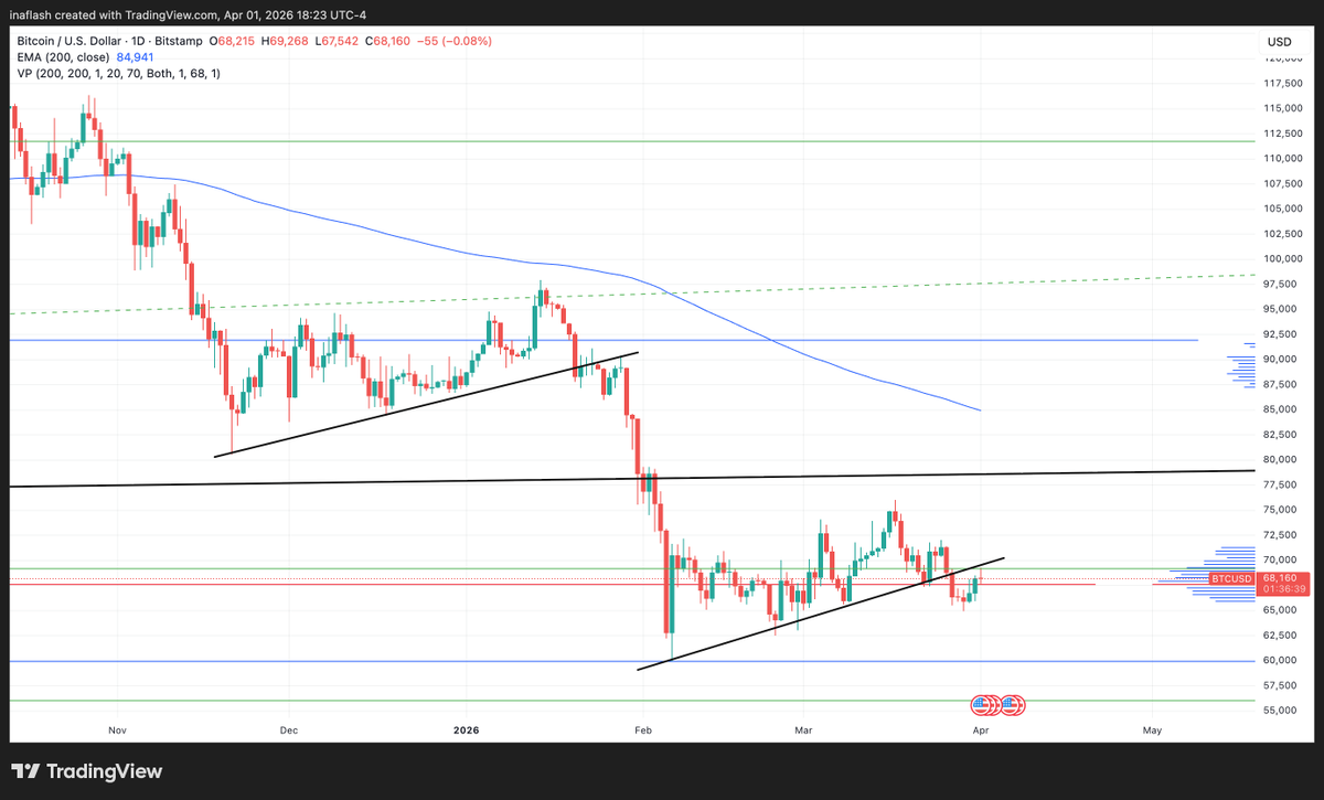 Grass Fed Stack tweet media