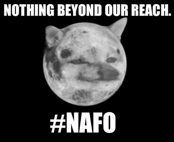 NicoletteNAFO Here for Ukraine. 🇺🇸🇺🇦🇬🇪 tweet media