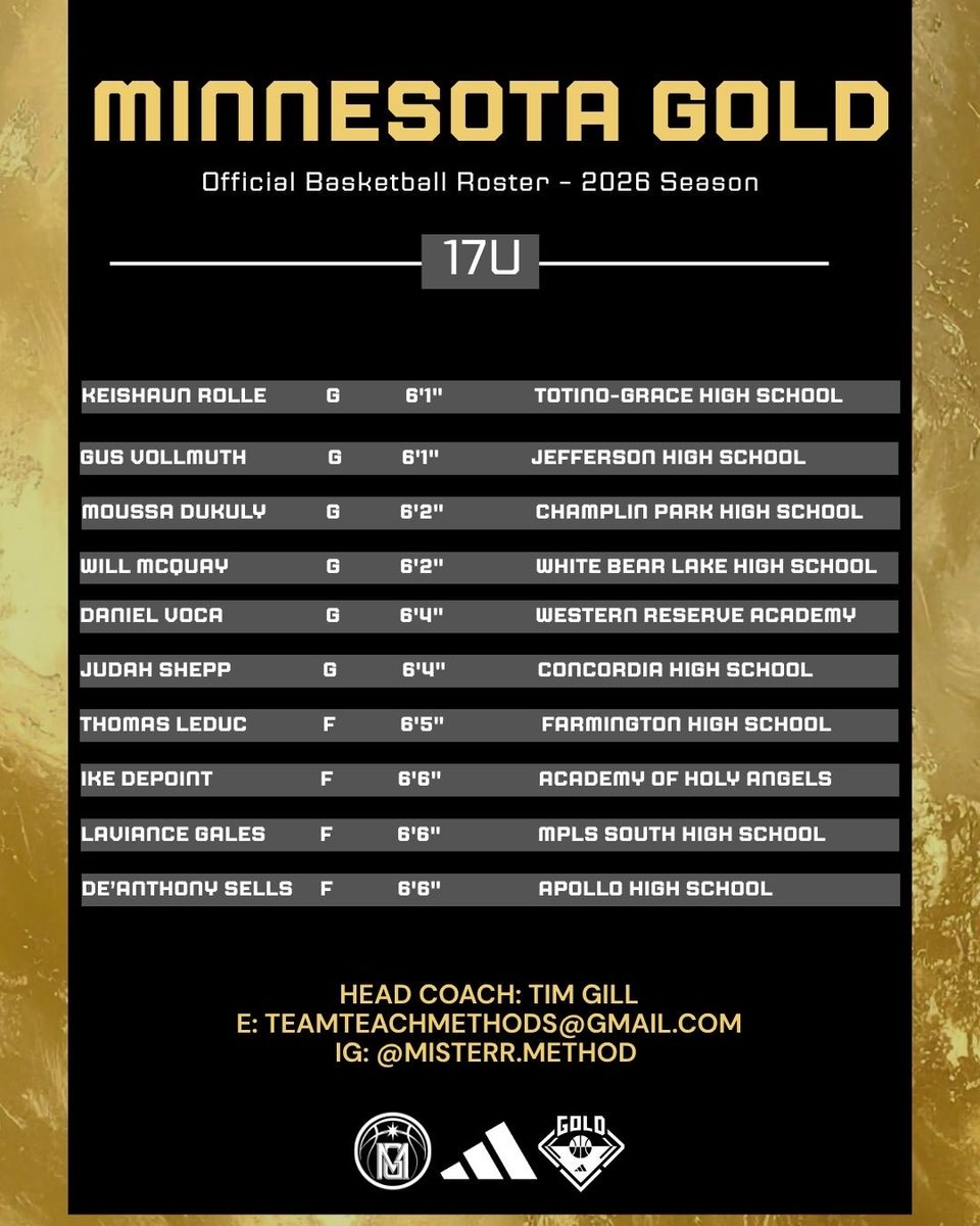 D1 Minnesota Gold Basketball tweet media