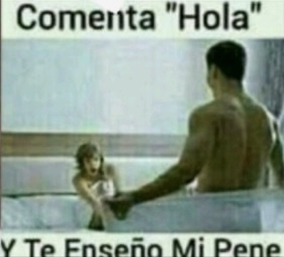 2D Bostero tweet media