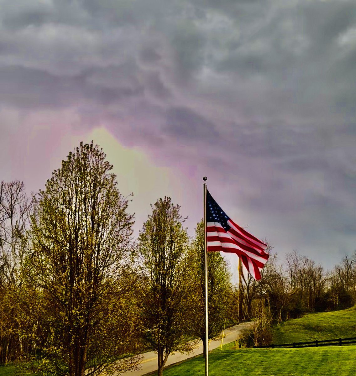 Josh Fitzpatrick ❄️ tweet media