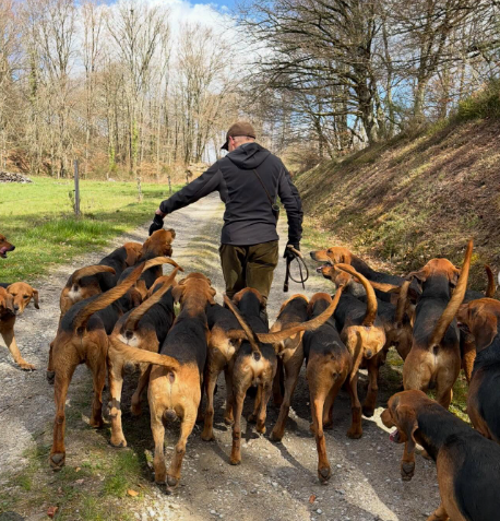 Athénaïs Roy 🌿🌸🙏⚜⚔🦋 tweet media