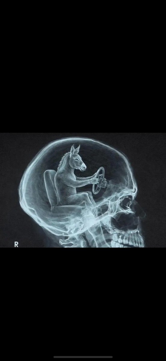 El profesor 👨🏽‍🏫 tweet media