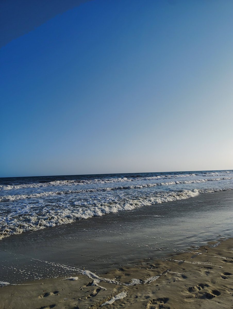 Sunnysideup tweet media